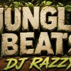 Jungle Beats With DJ Razzy